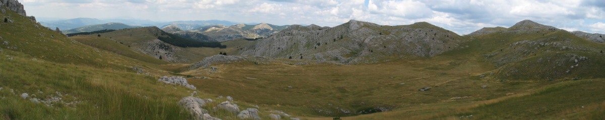 Habitat of Vipera ursinii macrops, Habitat Wiesenotter, meadow viper