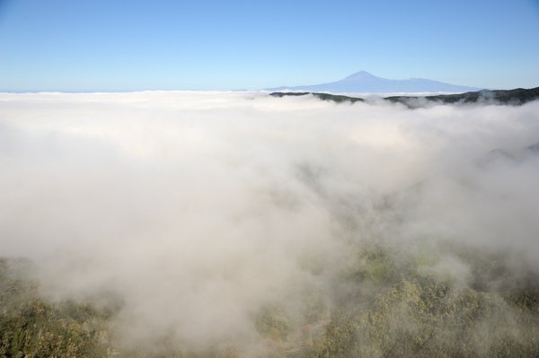 La Gomera, Tenerife, Teide, laurel forest, tree heath forest, trade wind clouds, passat clouds