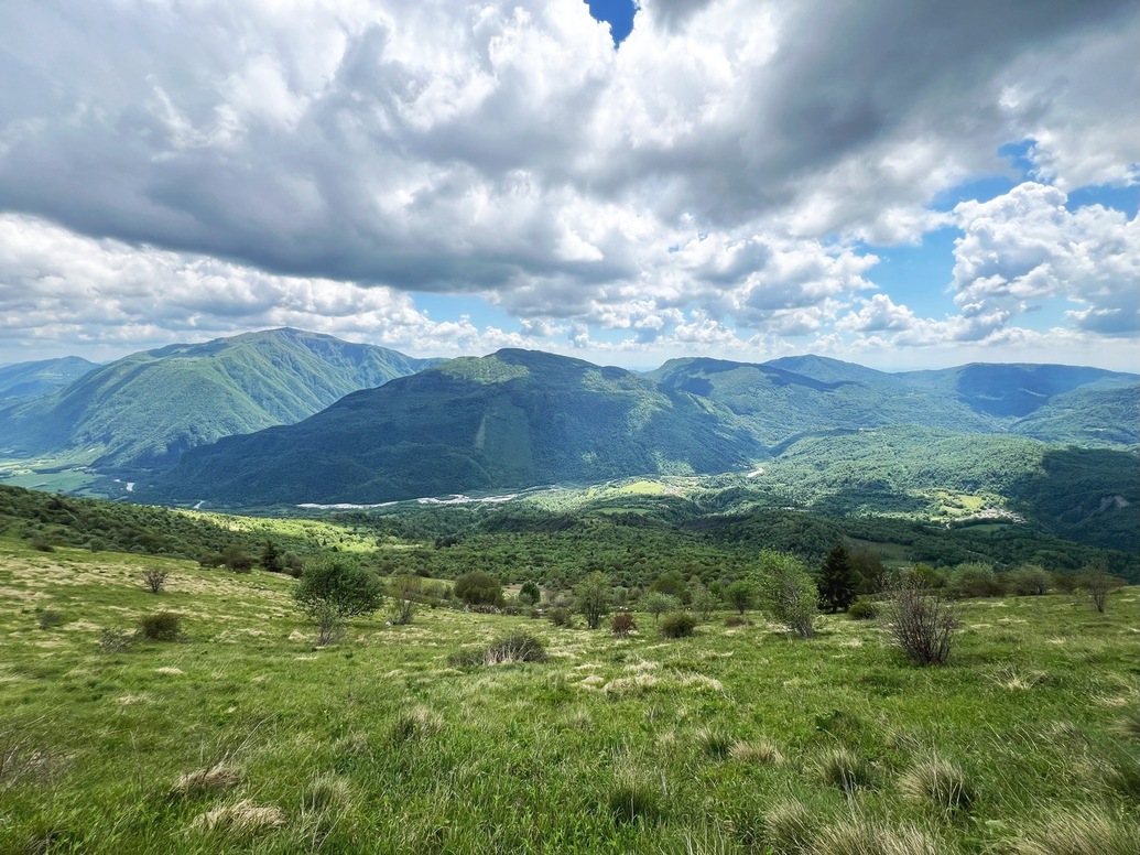 Habitat of Vipera ammodytes, Vipera aspis, Vipera berus